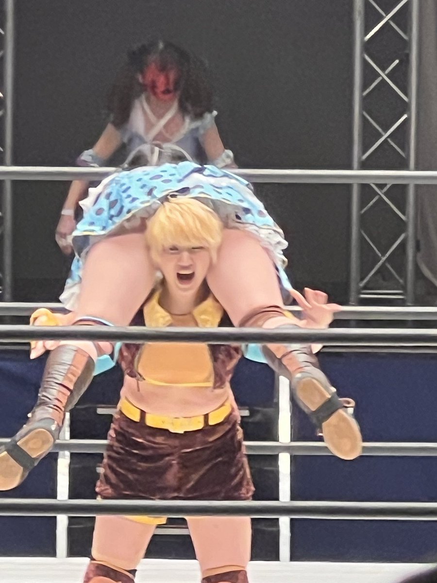 ありーぬ ハ☆イヌXLIII on X