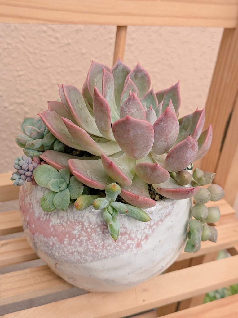 ぽんの299が～でん🐾 on X