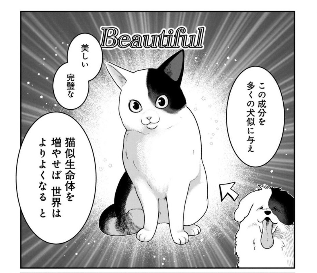 kitty★プロフご覧下さいませ ブブ on X