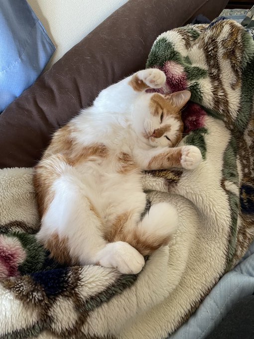 誘っているのか 