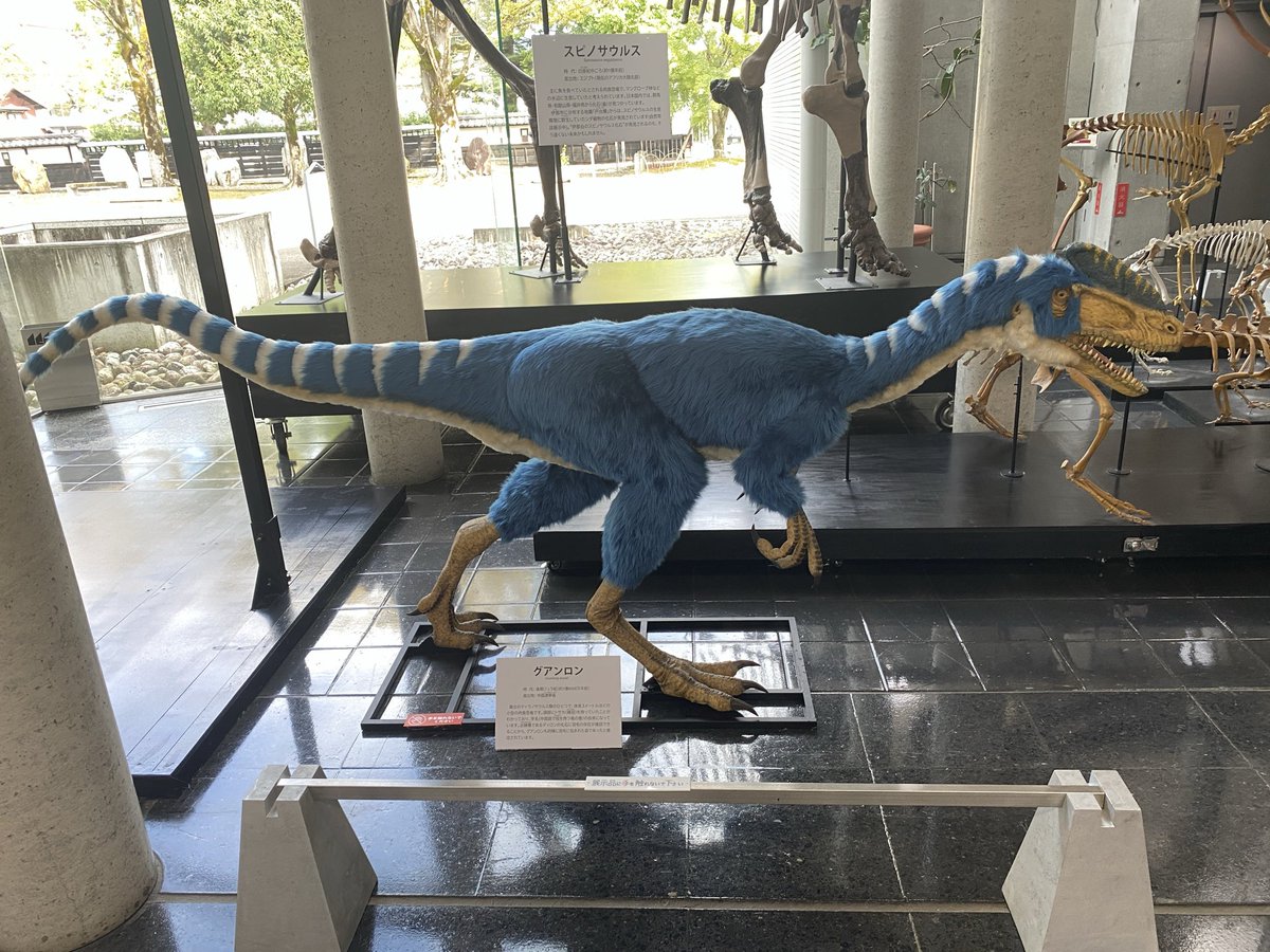 きょうりゅう 楽天市場】TKSK エディオンオリジナル RC火炎恐竜ディノサウロ