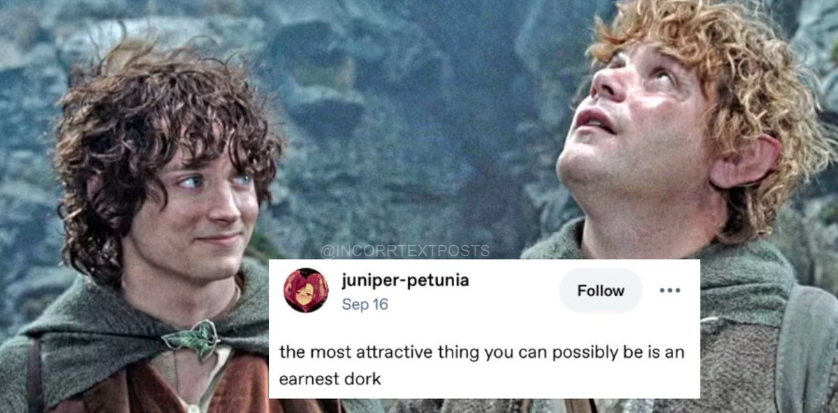 Incorrect Text Posts tweet media