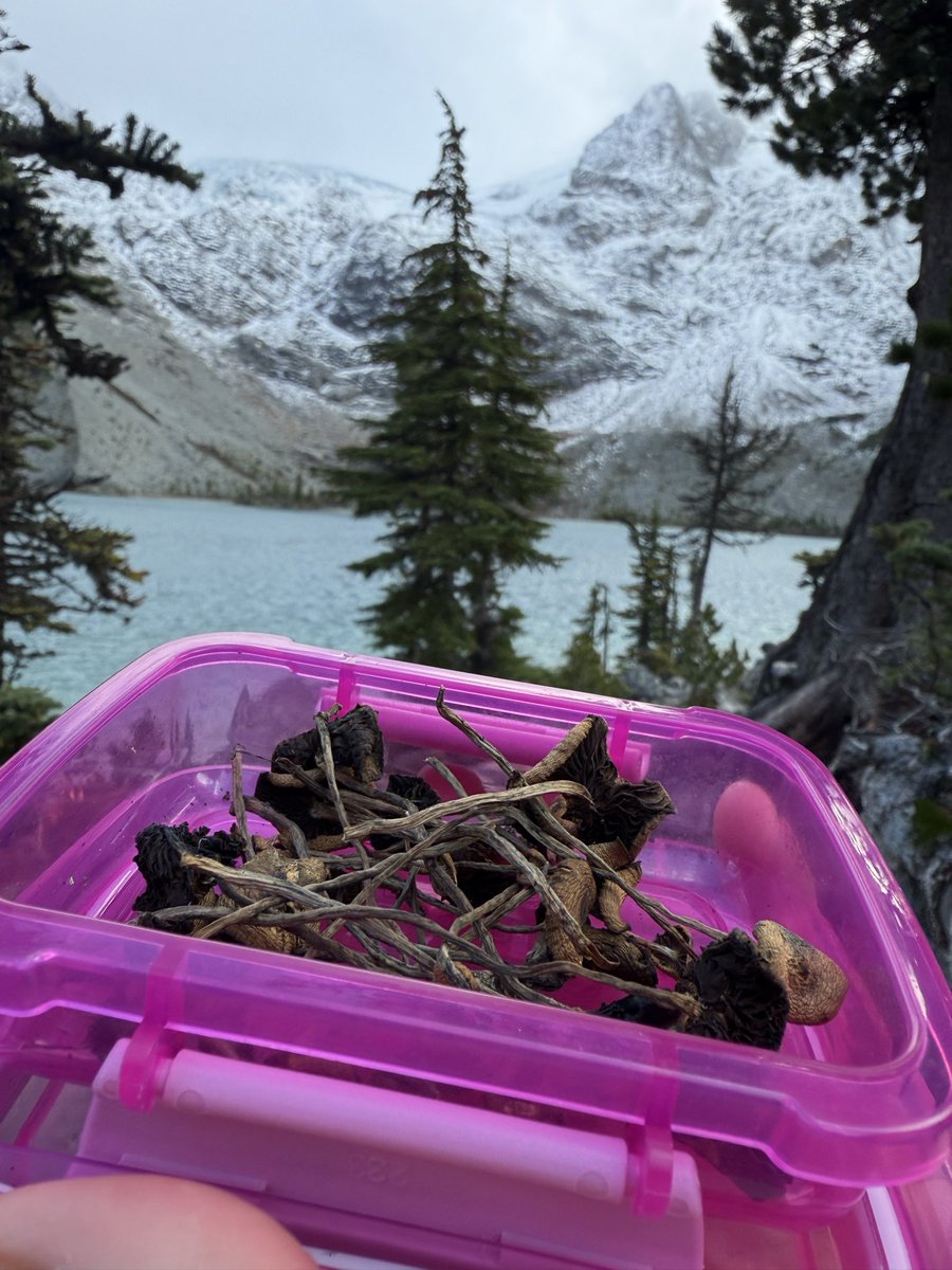 Right place right time #Joffrelakeupper