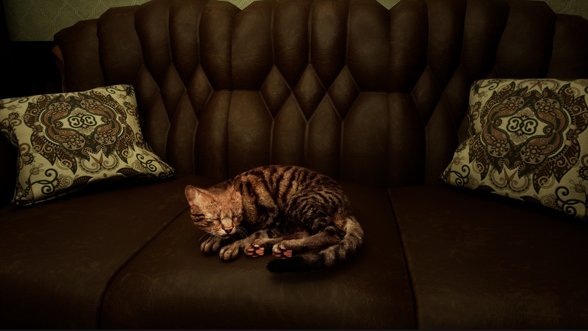 猫蝮 とろふー on X