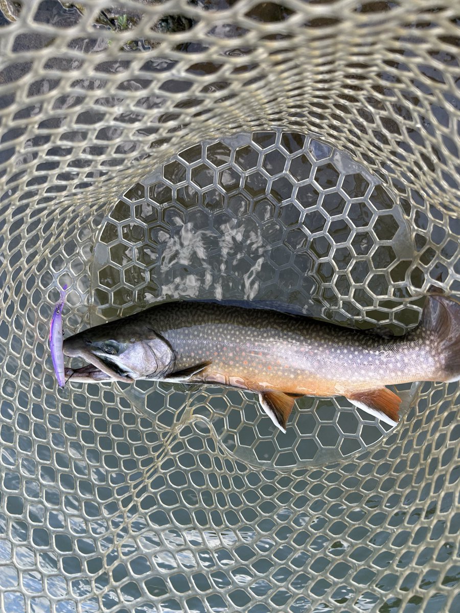 Maysオーダーページ•*¨*•.¸¸♬ みつまめ (@mit3omame) / Posts / X