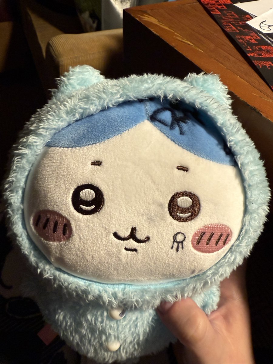 pax 𓇶🛩️ HTS 4/29 tweet media