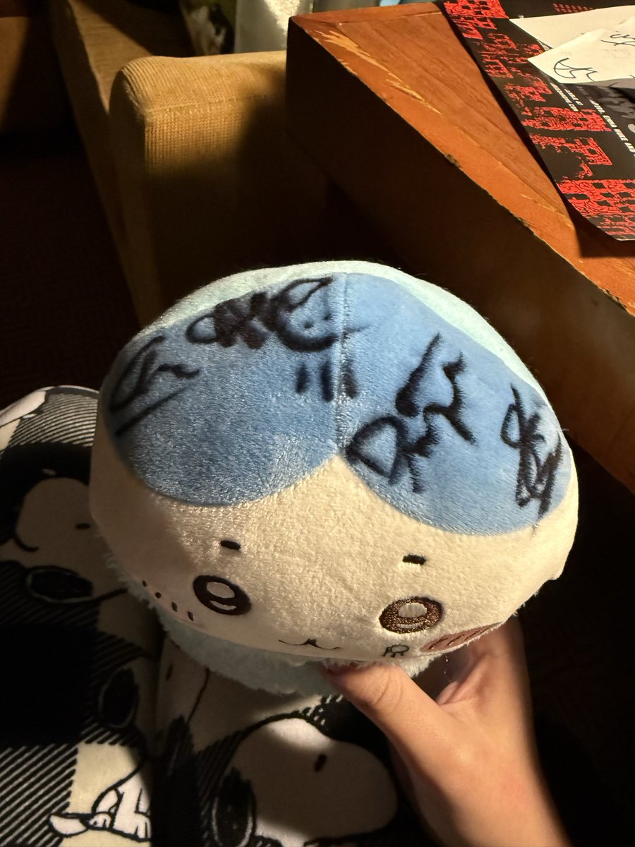 pax 𓇶🛩️ HTS 4/29 tweet media