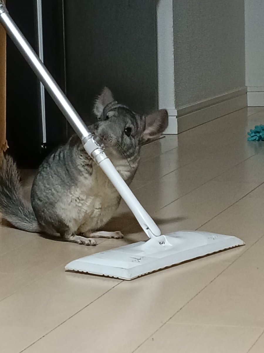 ぴーち (@Yk8yGz) / Posts / X