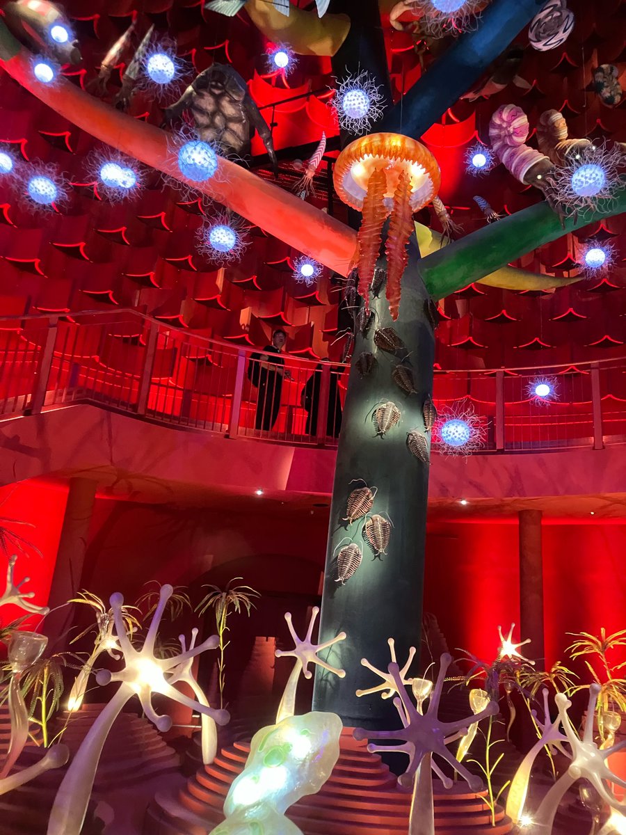 sakura (@sakura58645004) / Posts / X