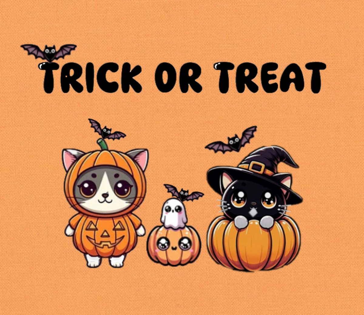 Timothy&Sebastian tweet media