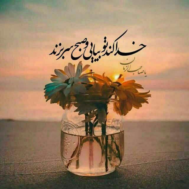 سلام امام زمانم....

روشن از

روی تو چشم و دلِ روز

صبح از نام تو دم زد که دمید ... !

#اللهم_عجل_لولیک_الفرج