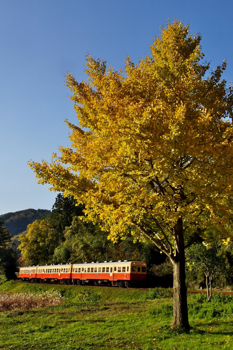上総介⭐ イッシー😺 バイク好き on X