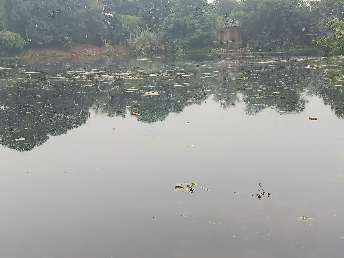 BhimAtul's tweet photo. @Dm_Gorakhpur न०प० उरुवा बाजार के वार्ड नo 12 विंध्यवासिनी नगर में छठ घाट की सफाई के नाम पर सिर्फ पैसे का बंदरबाट किया जा रहा है कोई कार्य नहीं किया गया आपके EO महोदय हम सभासद का फोन ही नहीं उठाते न ही है नहीं लेते है कोई जिम्मेदारी https://t.co/7AzR3rDnmw