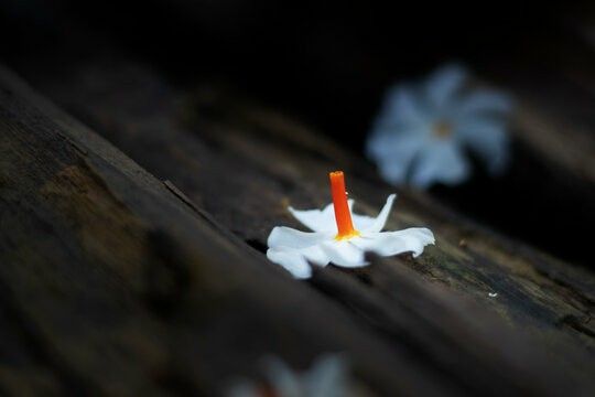 Shoonya_ydv's tweet photo. 'शून्य' होती अपेक्षाएं 
गहरी शांति का
अनुभव कराती है. https://t.co/XeOUMRtAjh