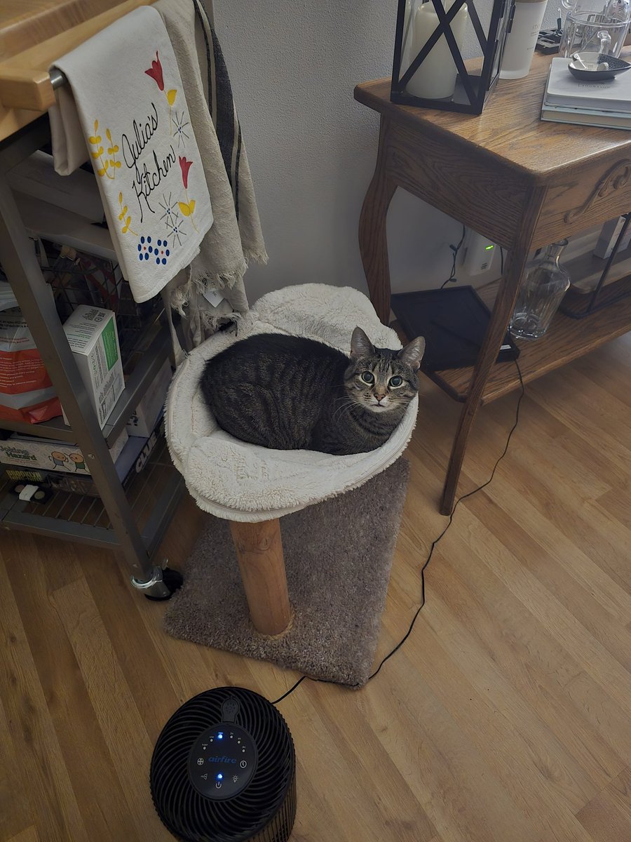 Booterific (@juliafristedt) on Twitter photo 