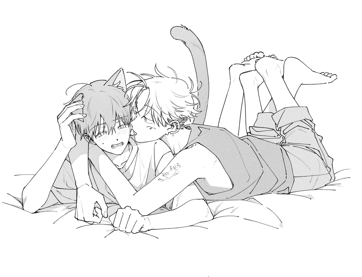 🐈‍⬛🐈‍⬛🐈‍⬛