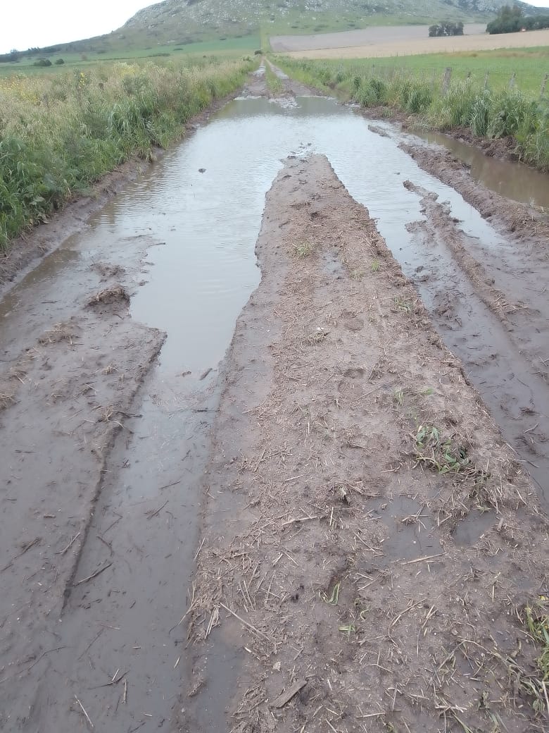 brookes_javier's tweet photo. Los caminos rurales destruidos. Muchos no pudimos votar.
Pero los pocos que fueron sacaron el 80% a LLA https://t.co/COyxytCzGu
