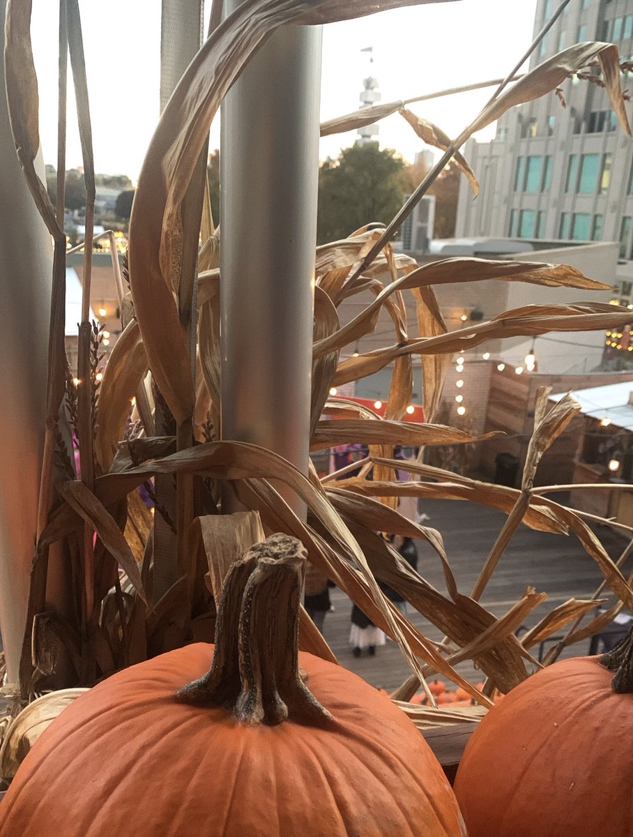 EspressoBean's tweet photo. I love fall 😌🍂 https://t.co/XgN8QWbHO1