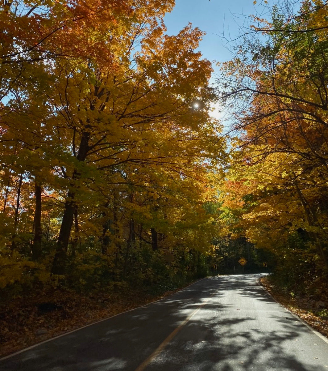 EspressoBean's tweet photo. I love fall 😌🍂 https://t.co/XgN8QWbHO1