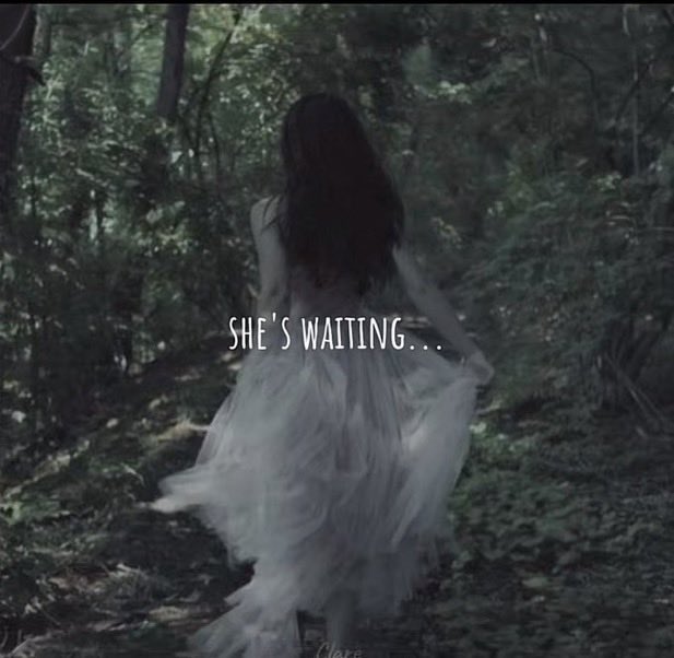 Moh? (@holymoha) on Twitter photo 