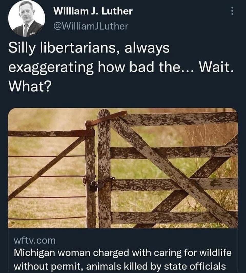 Rothmus's tweet image.