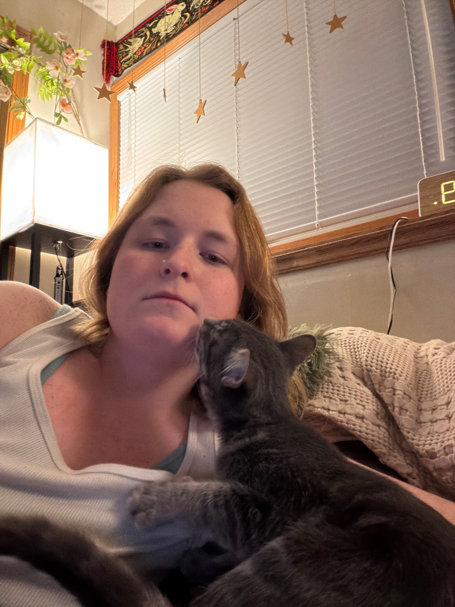 SERIAL COPYCAT tweet media