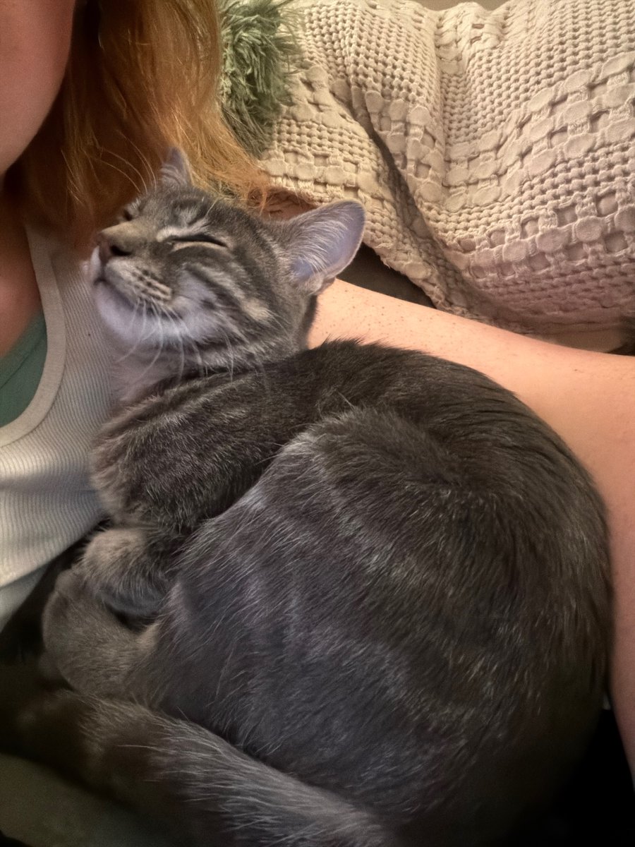 SERIAL COPYCAT tweet media