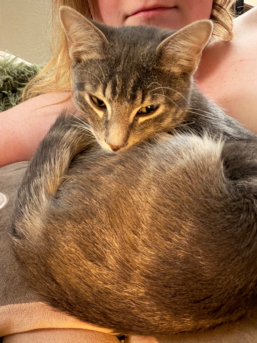 SERIAL COPYCAT tweet media