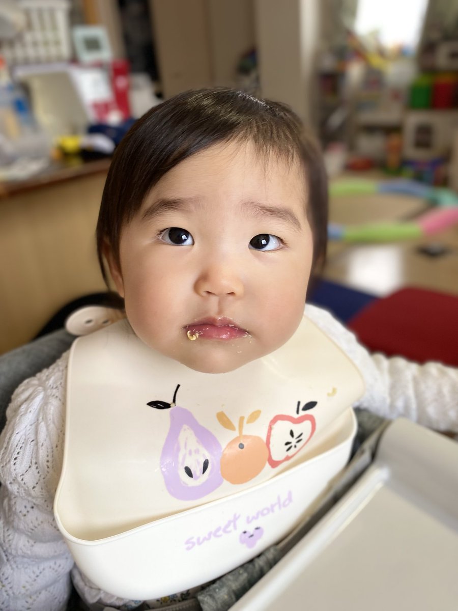 パンちゃんとナギさん4y&スイさん1y (@panchanbaby) / Posts / X