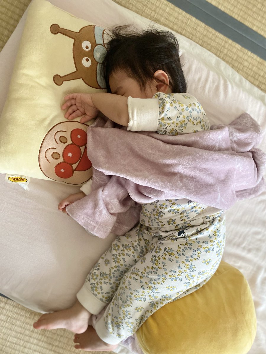 パンちゃんとナギさん4y&スイさん1y (@panchanbaby) / Posts / X