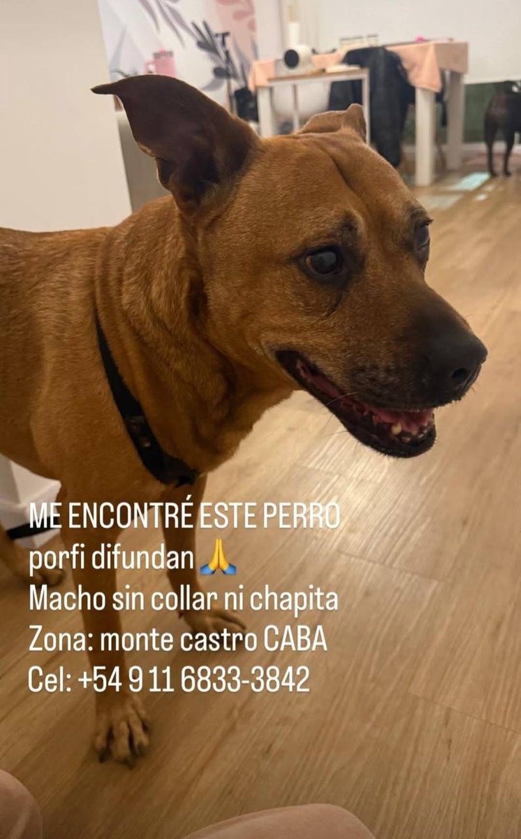 Mensaje de vecinos...