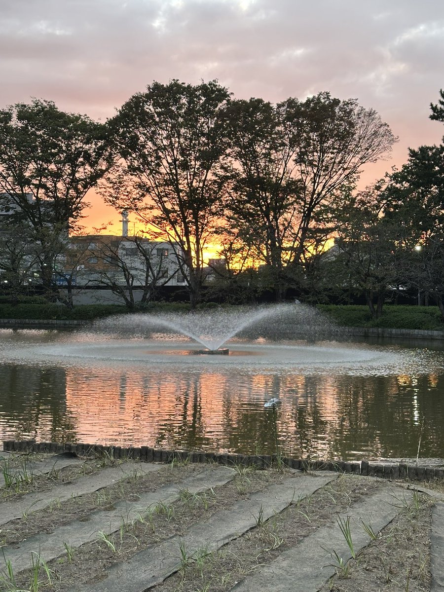 笑顔になれる癒しのエナジーDIVINE (@8f8aNca) / Posts / X