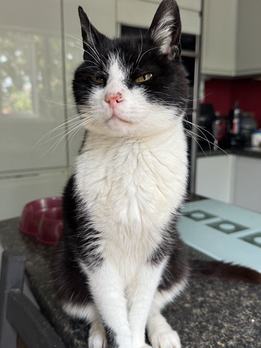 Cat Butler Danny tweet media