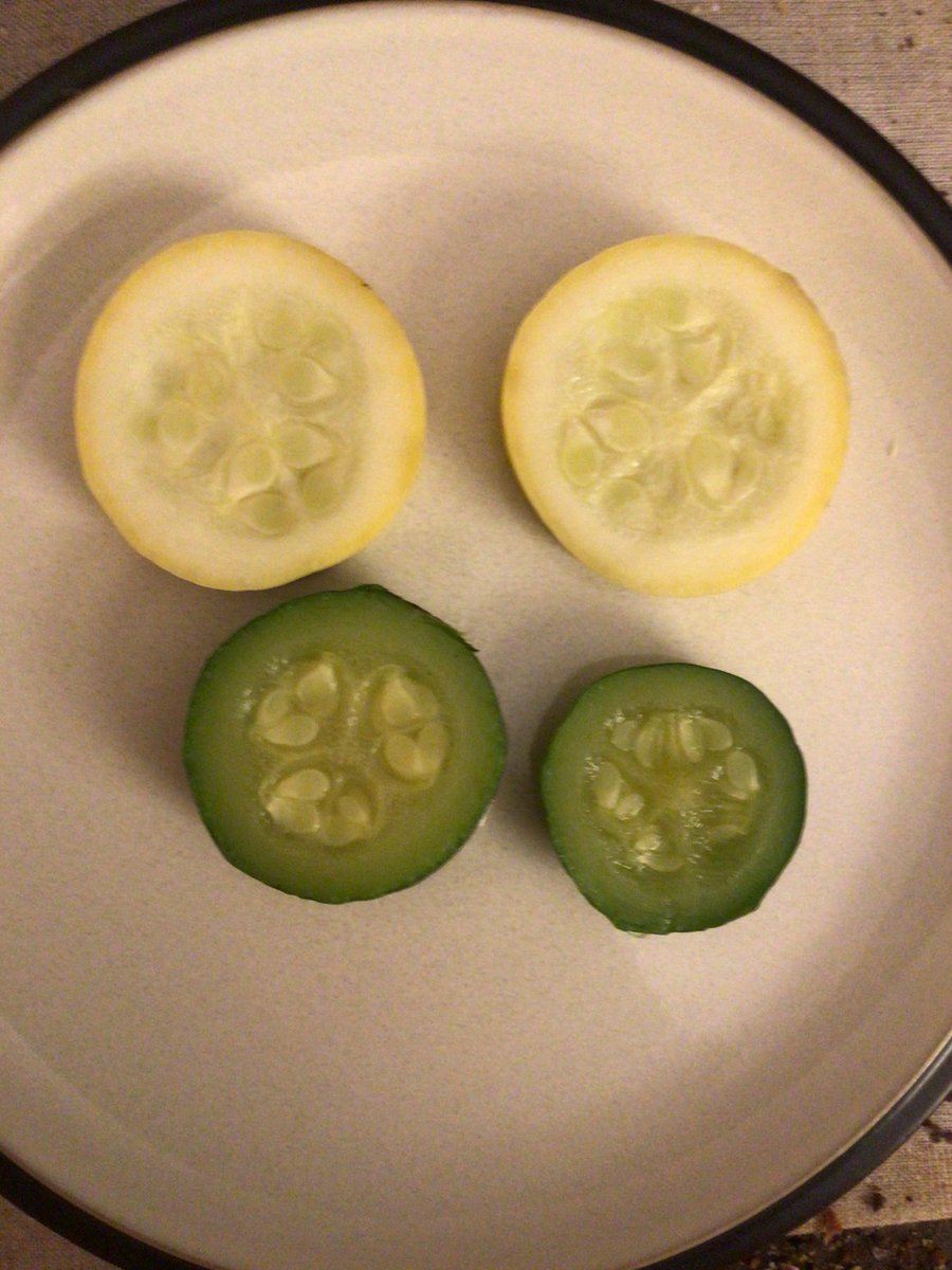 Self care for me tonight is another nice supper:  bruschetta, curried mango haddock, a white potato and squash.  Also having a nice bottle of Cabernet Sauvignon, some chocolate ice cream and a brownie.