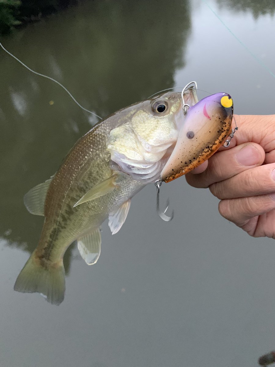 おまけルアーその５ 2024年新製品】展示会に行ってきました！〜Part.1〜 - 道東の