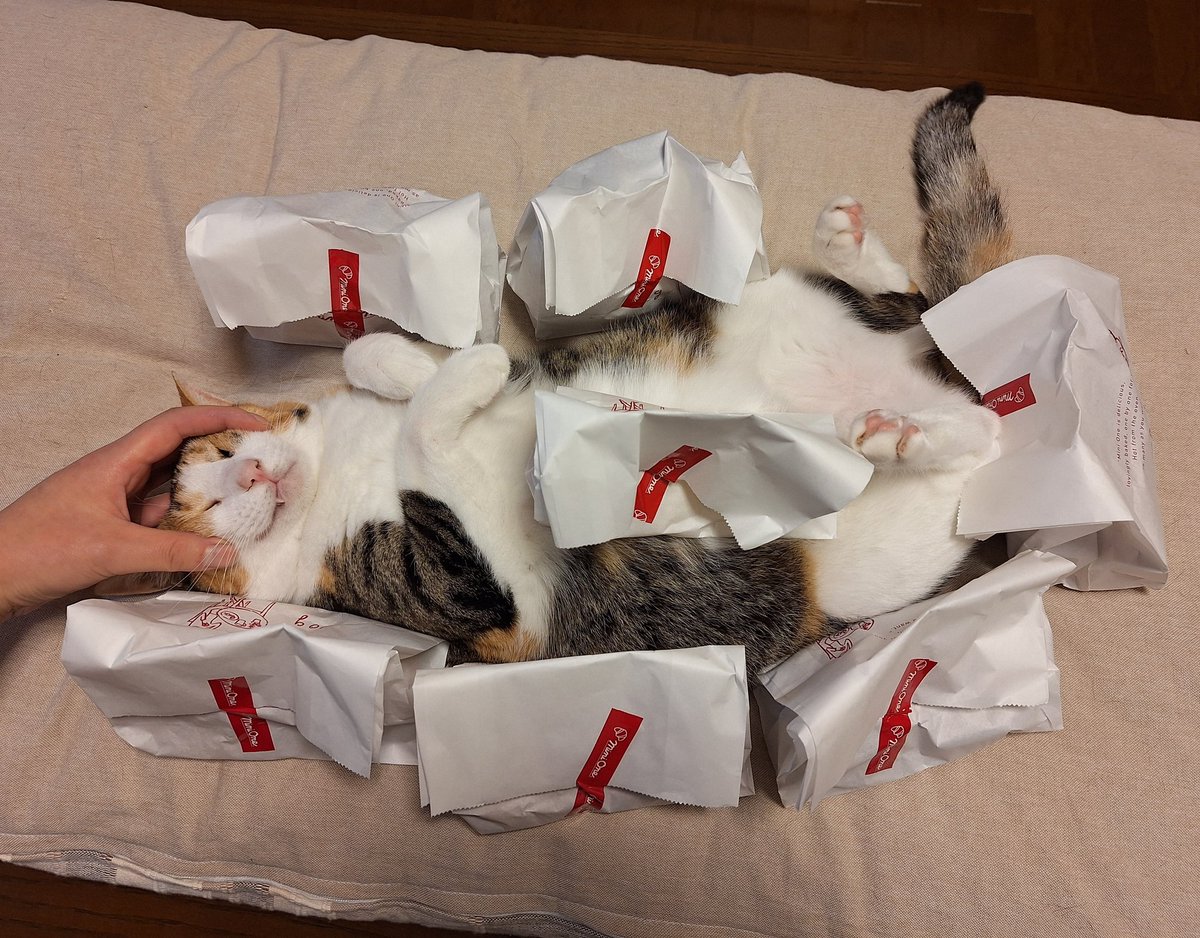 ⭐️たく様⭐️ Cool na Megami-sama to Issho ni Sundara, Amayakashi Sugite