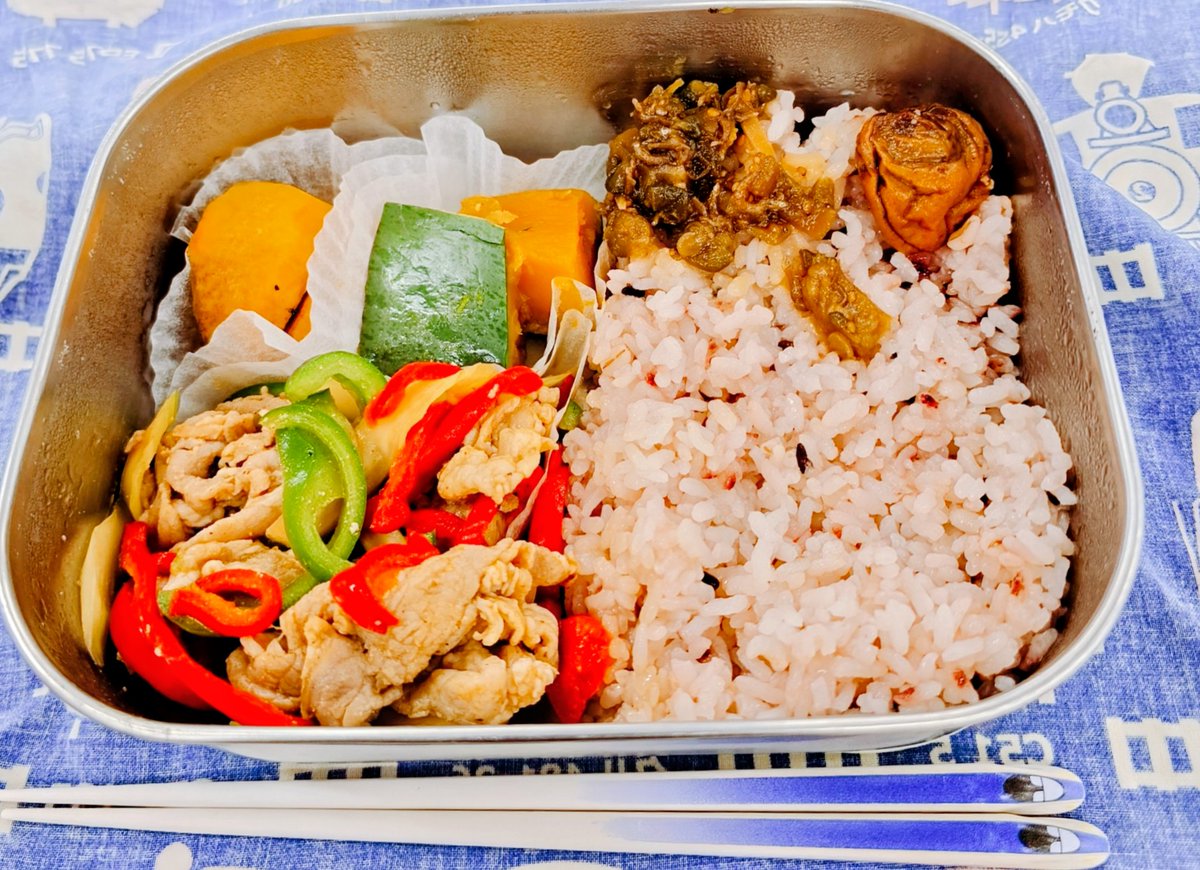 ゆきんこ0761様ページ 快速急行🚞🌷 (@kaisokukyukou07) / Posts / X