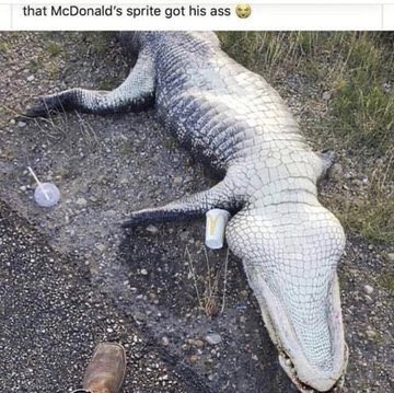 THE YEONJUN SPRITE GOT ME