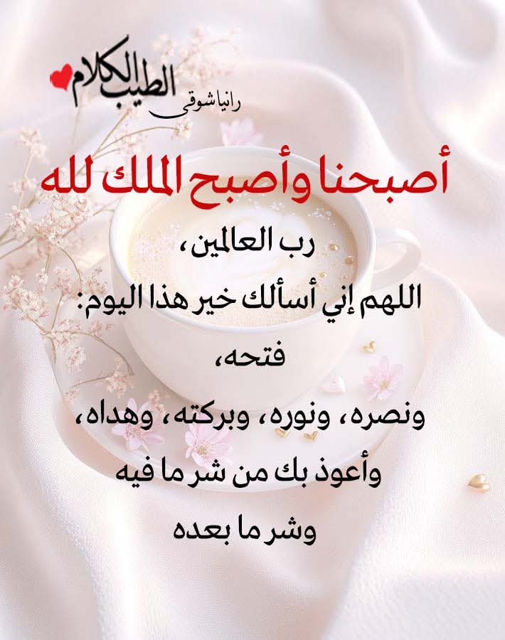 Eng Nagi Ramadan (@nagiramadan4) on Twitter photo 