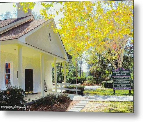 Tami Quigley Fine Art Photography tweet media