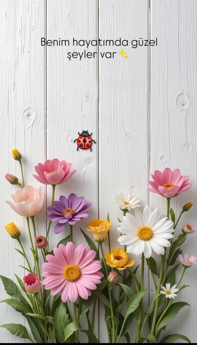 Günaydın sağlıklı mutlu bir hafta olsun.☕️☕️