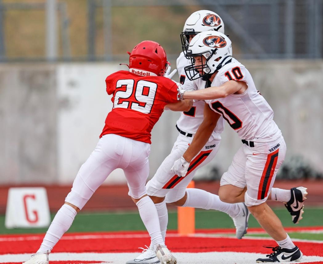 Colter Phelps tweet media