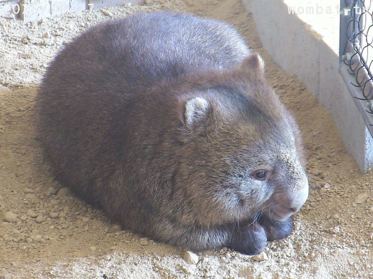 G4PPbNLXYAA8xdV.jpg?format=jpg