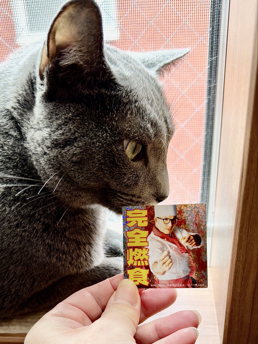 日本映画学校だ 第1号 日本映画学校だ 第1号 日本映画学校だ 第1号 Amazon.com: