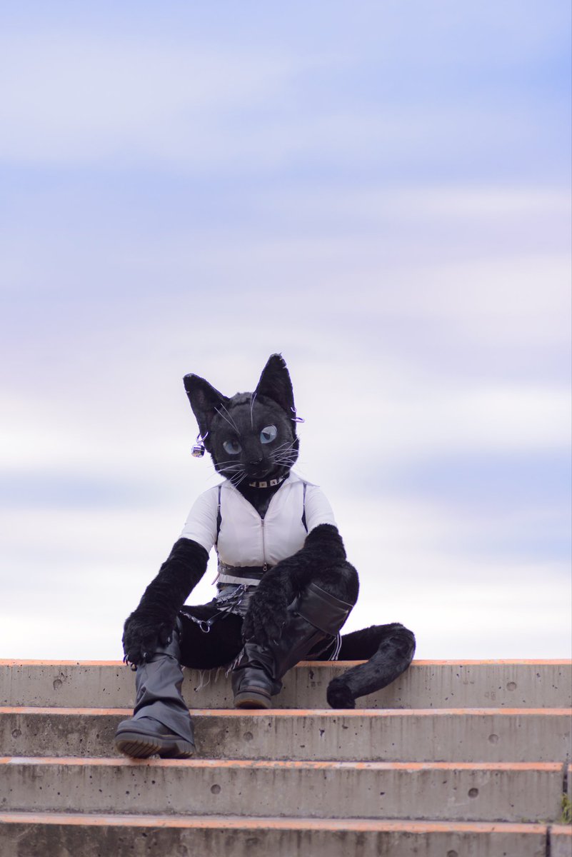 It's like a dream
 #FursuitEveryday 

📸 #Parisian621