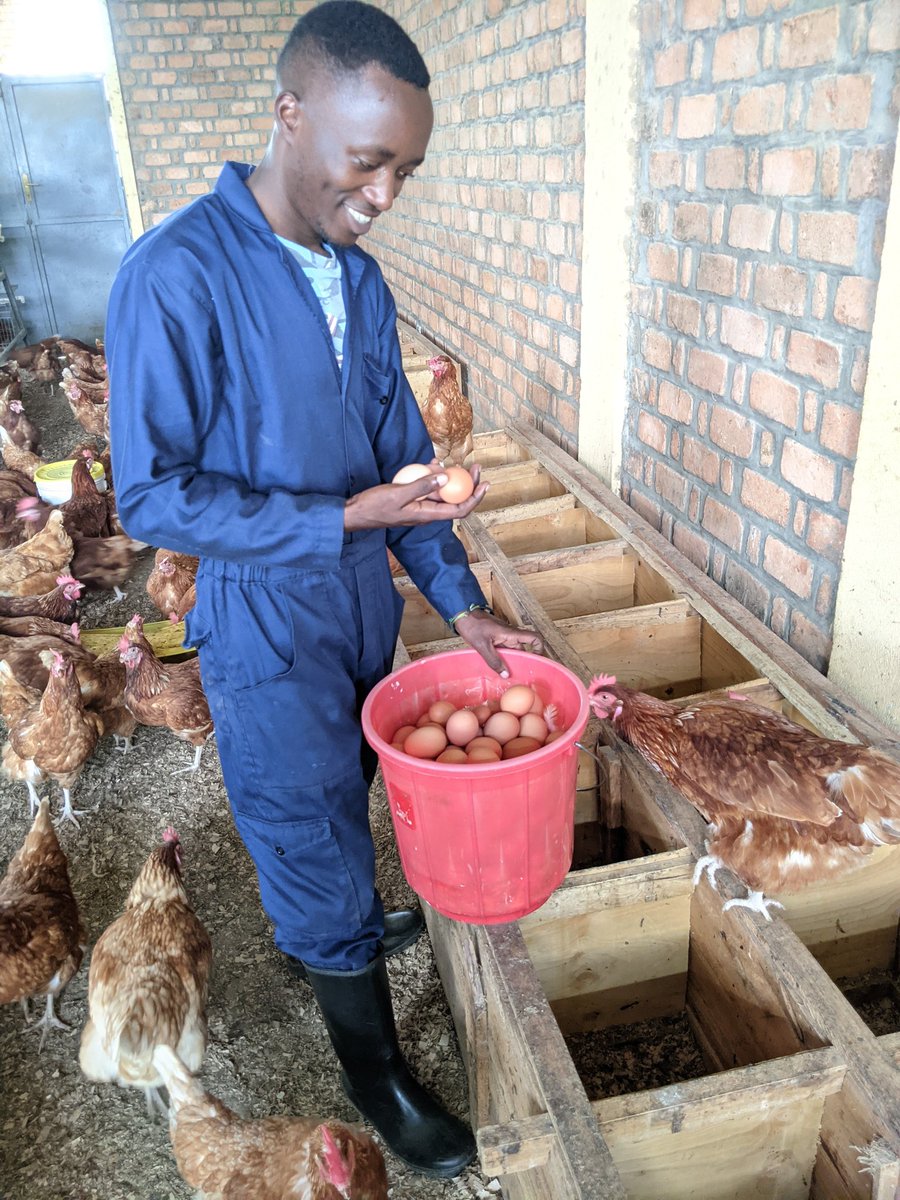 Gil_Niyonkuru's tweet photo. Investing in farming is investing in life - because food will always be the world’s greatest currency. 🌾💰
#FarmingIsLife
#FarmWithGilbert
#NoFarmsNoFoods https://t.co/SqOFQ1WA0Q