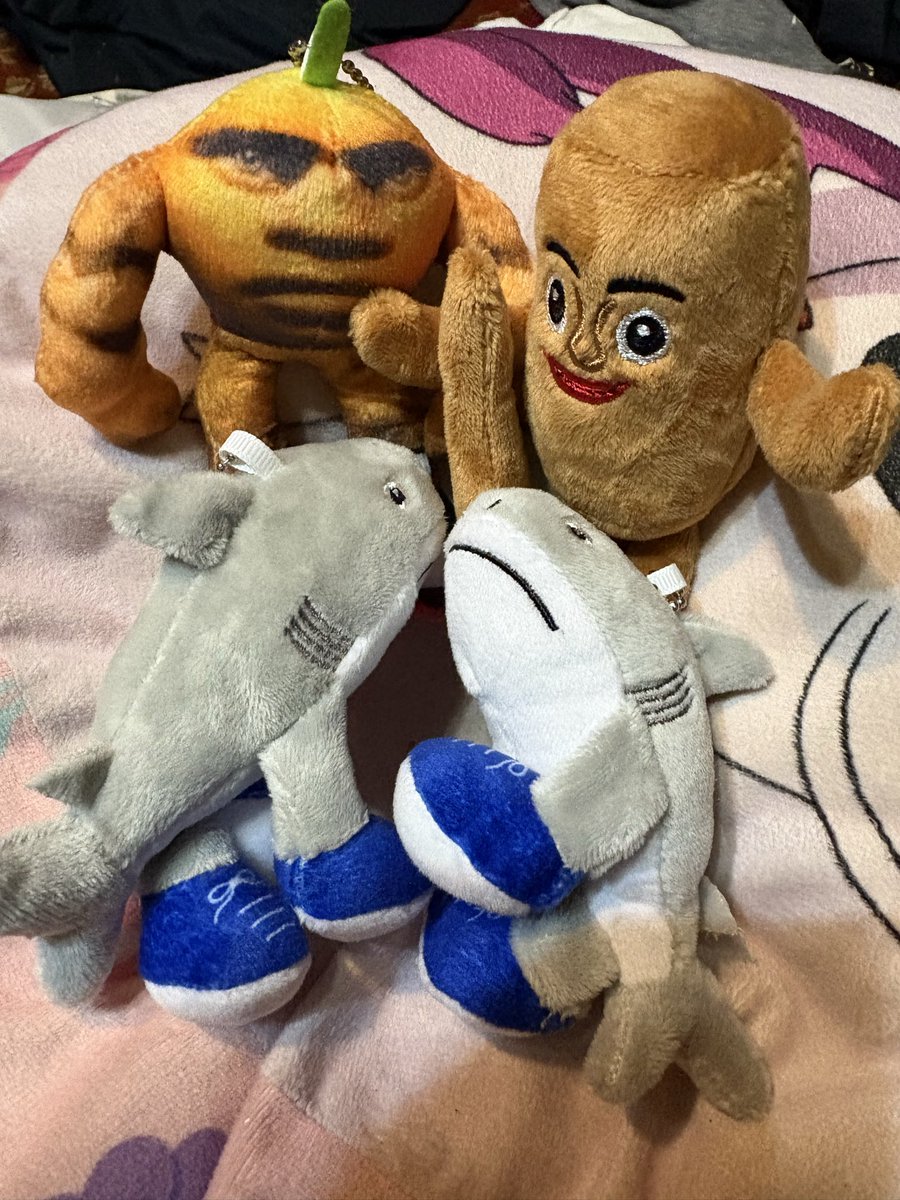 Suzukikouichi (@Suzukikouiuojd) / Posts / X