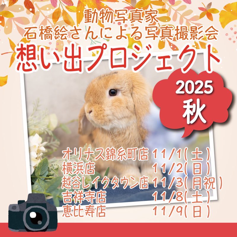 うさぎのしっぽレイクタウン店 on X