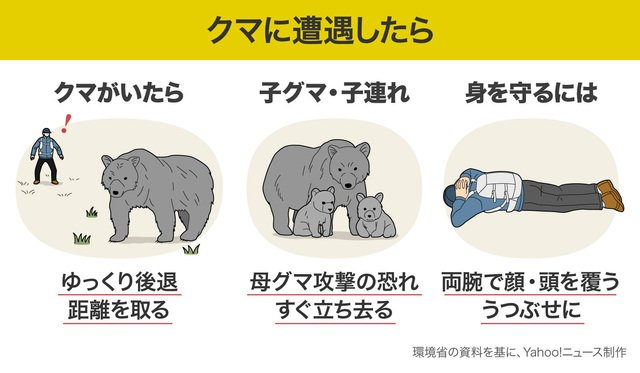 めがねちゃんぬ tweet media