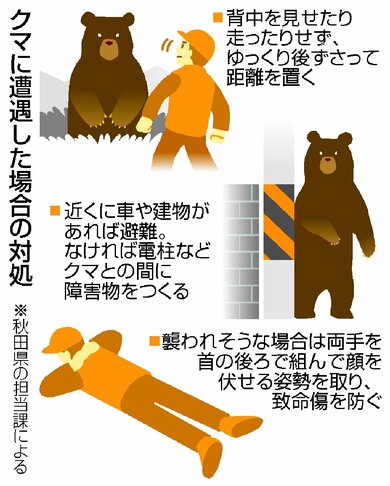 めがねちゃんぬ tweet media